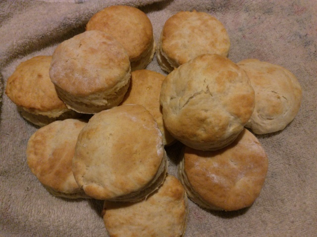 Warm, flaky biscuits!!